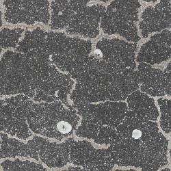 Seamless Textures of Concrete + Normal & Bump Mapping